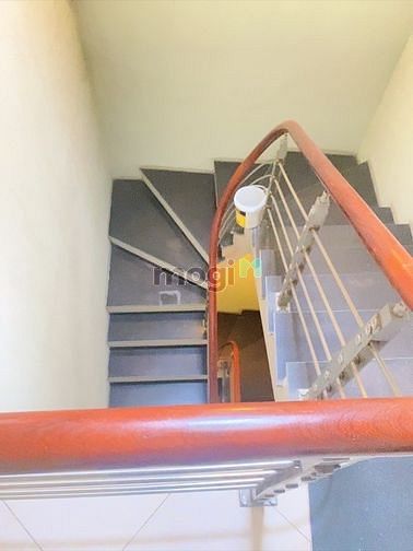4307725 ảnh đại diện 1