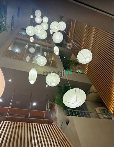 4307272 ảnh đại diện 1