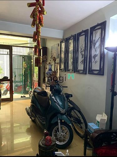 4307349 ảnh đại diện 2