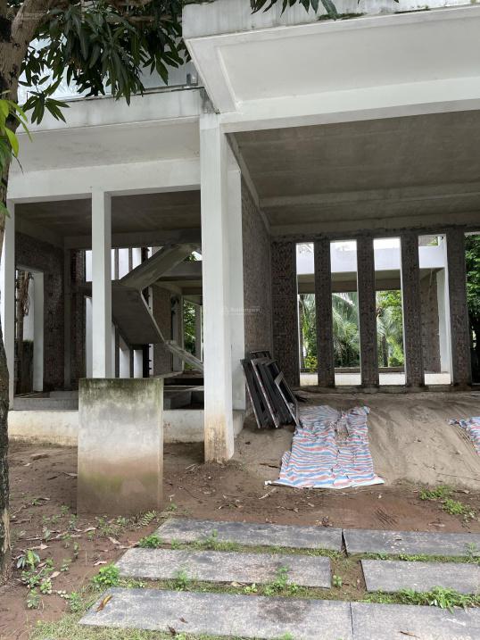 4309597 ảnh đại diện 1