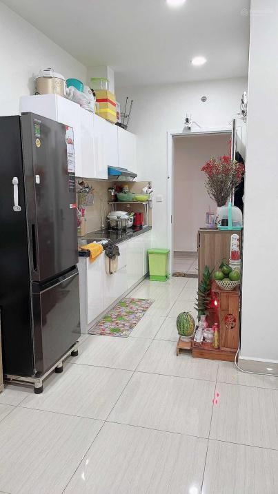 4308505 ảnh đại diện 2