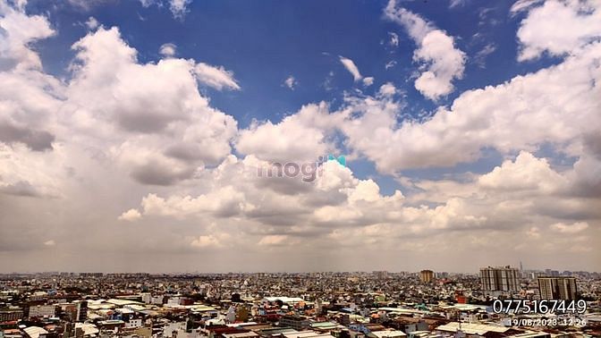 4306648 ảnh đại diện 1