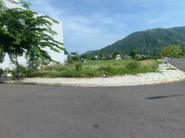 4309576 ảnh đại diện 1