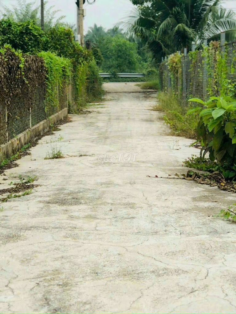4309834 ảnh đại diện 2