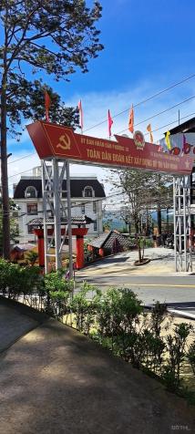 4306848 ảnh đại diện 1