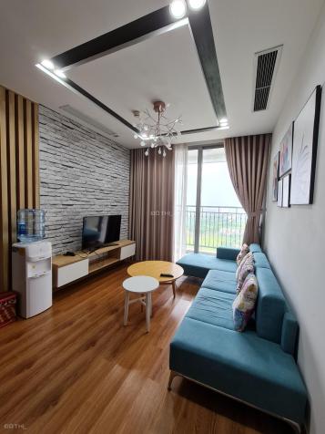 4308305 ảnh đại diện 1