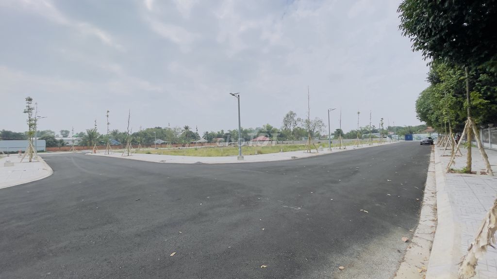 4306072 ảnh đại diện 1