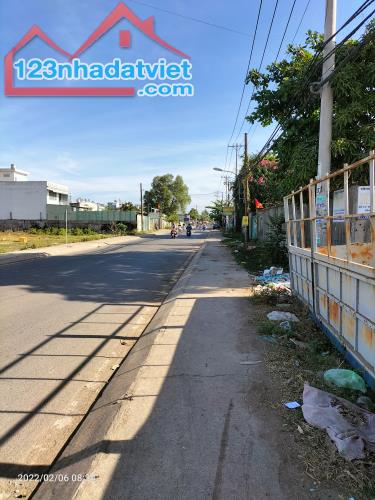 4306624 ảnh đại diện 2
