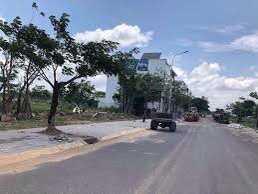 4308999 ảnh đại diện 1