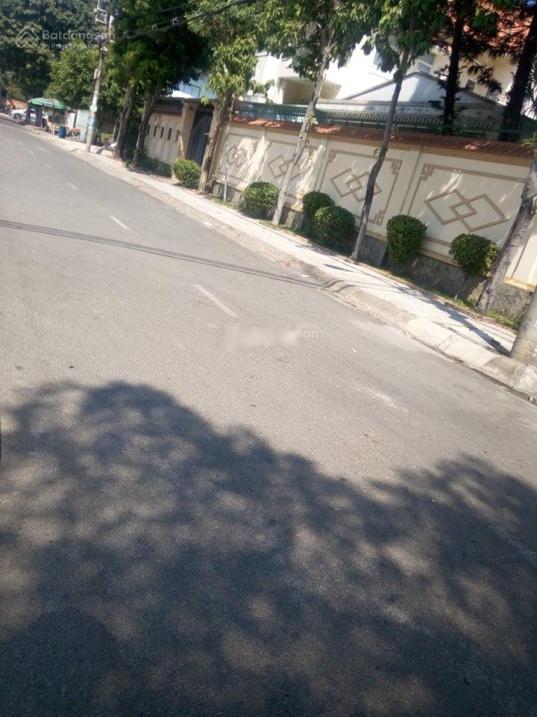 4310177 ảnh đại diện 1