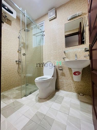 4310063 ảnh đại diện 2