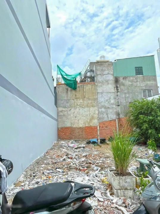 4310244 ảnh đại diện 1