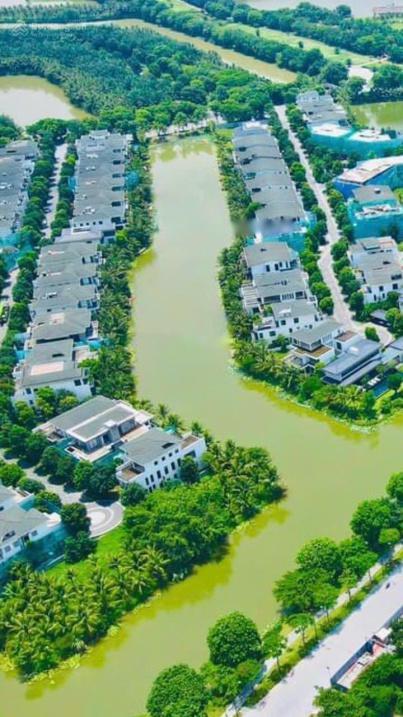 4309593 ảnh đại diện 1