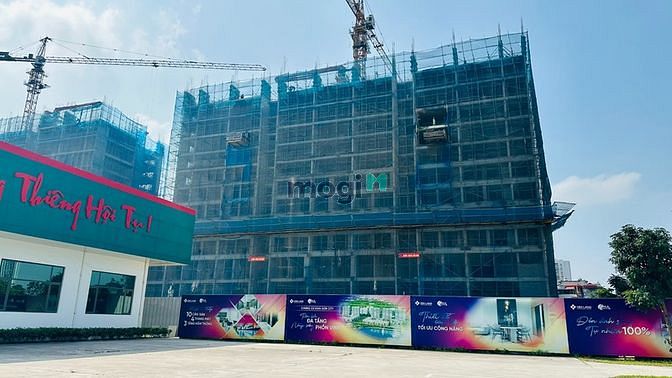 4312118 ảnh đại diện 1