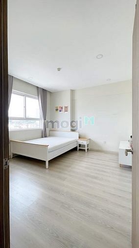 4311870 ảnh đại diện 2