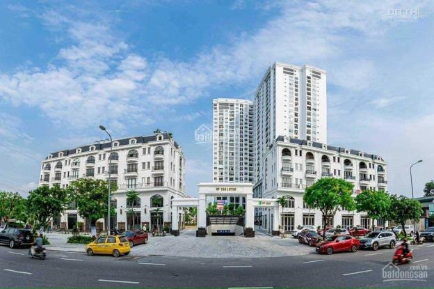 4312901 ảnh đại diện 1