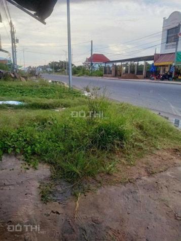 4311834 ảnh đại diện 1