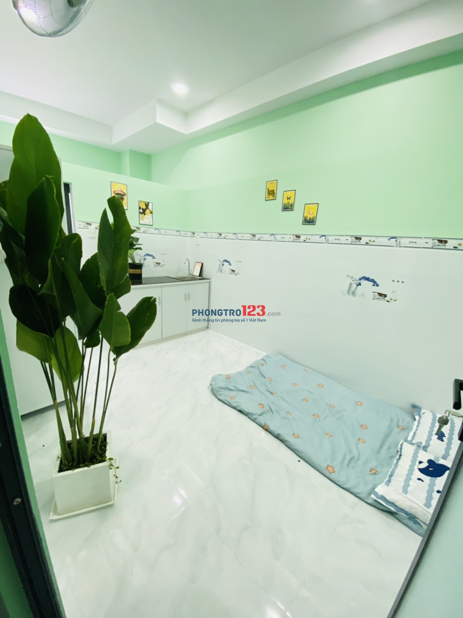 4312831 ảnh đại diện 1