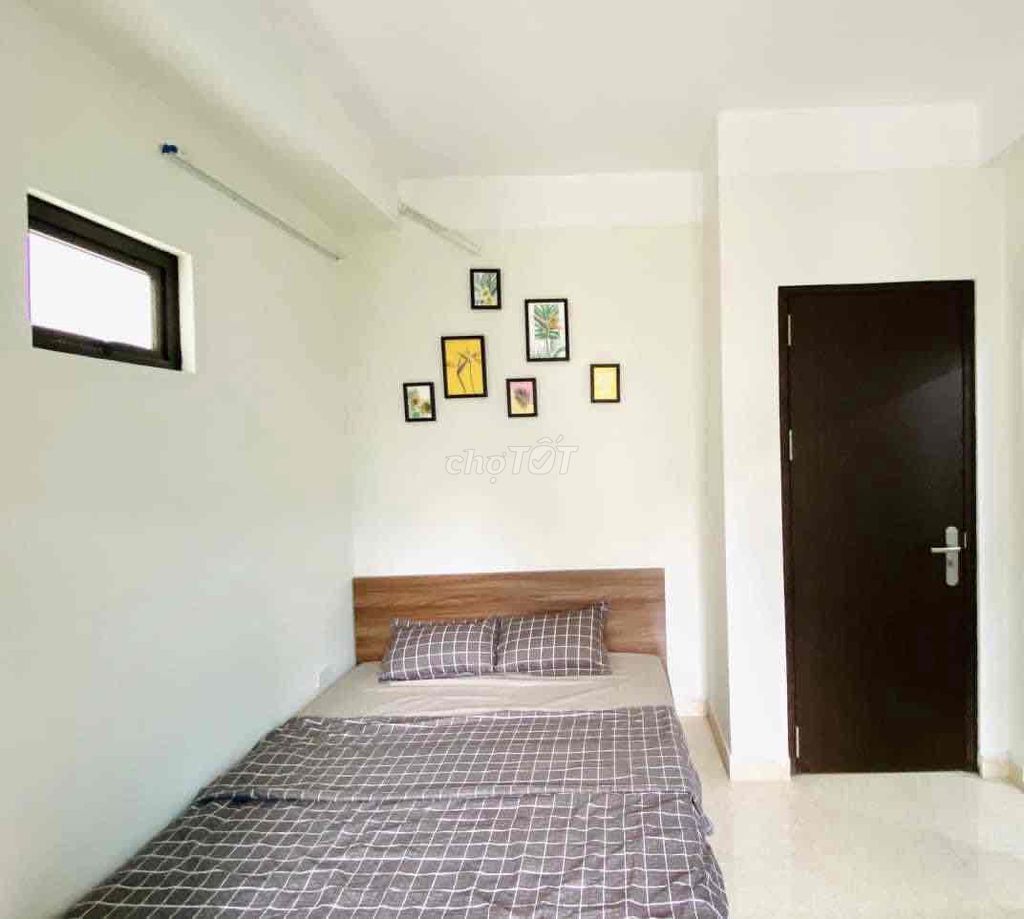 4311932 ảnh đại diện 1