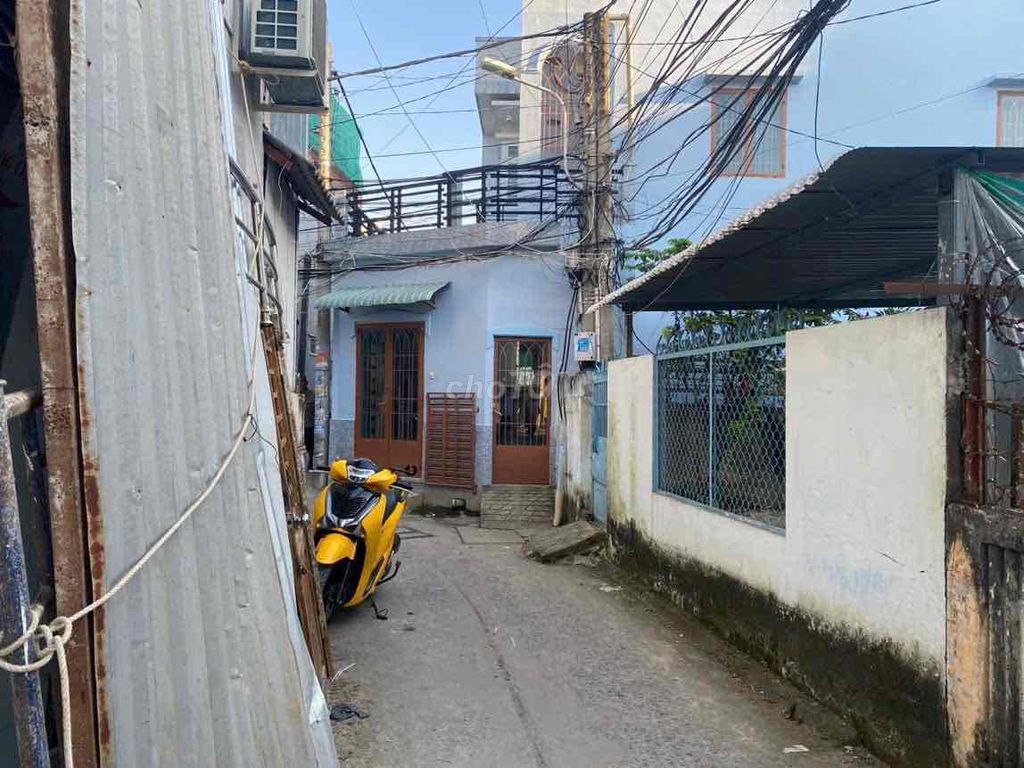 4312044 ảnh đại diện 2