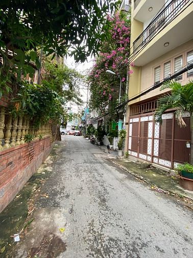 4312495 ảnh đại diện 1