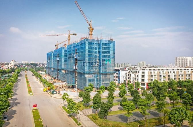 4312117 ảnh đại diện 1