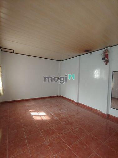 4311462 ảnh đại diện 2