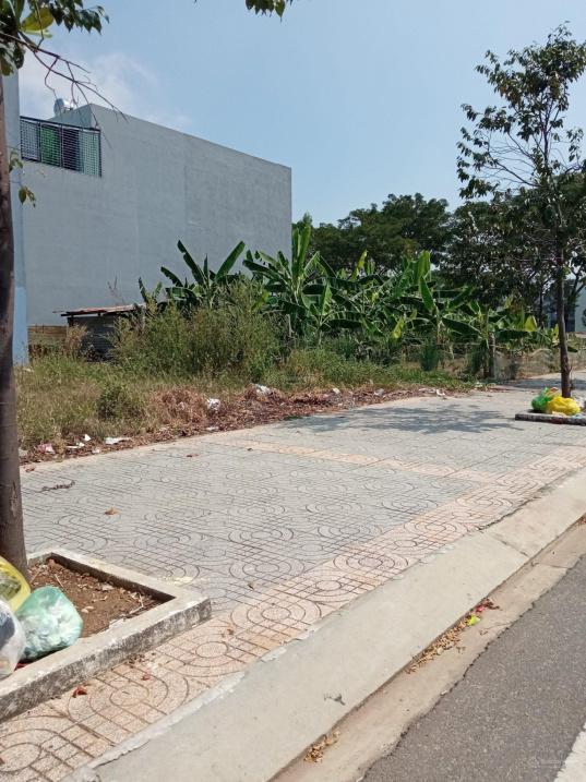 4311175 ảnh đại diện 1