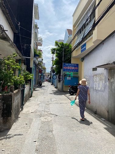 4311462 ảnh đại diện 1