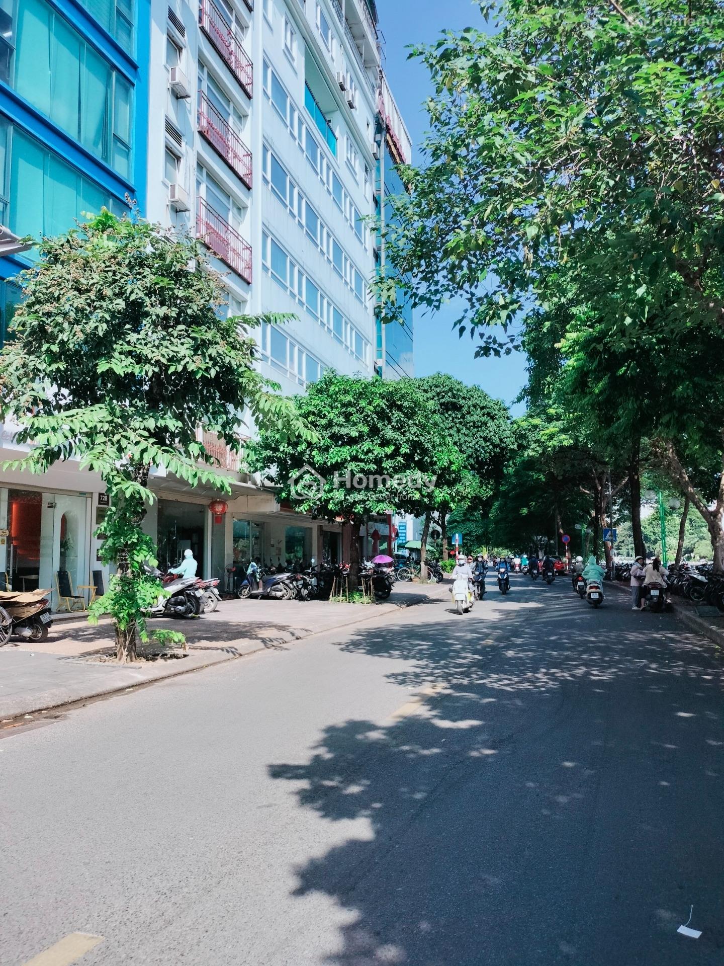 4311954 ảnh đại diện 2