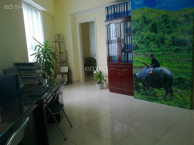 4312903 ảnh đại diện 2