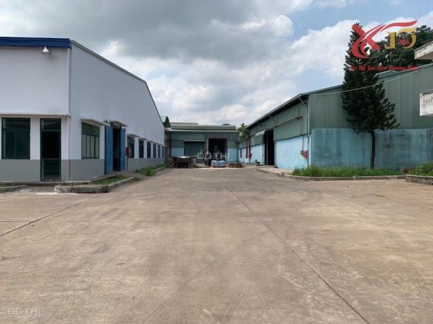 4312582 ảnh đại diện 1