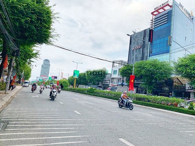 4311437 ảnh đại diện 2