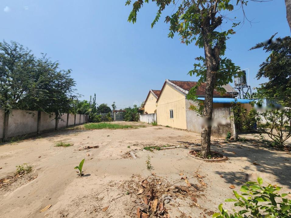 4311737 ảnh đại diện 1