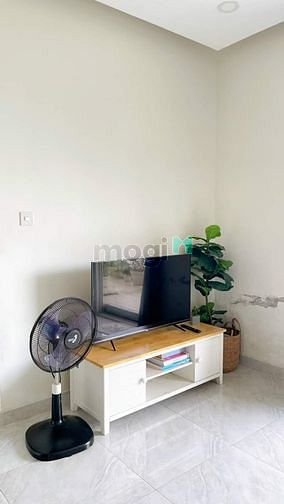 4311870 ảnh đại diện 1