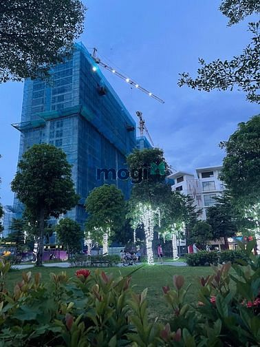4312116 ảnh đại diện 1