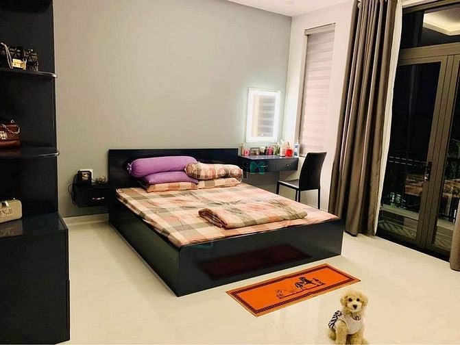 4311841 ảnh đại diện 2