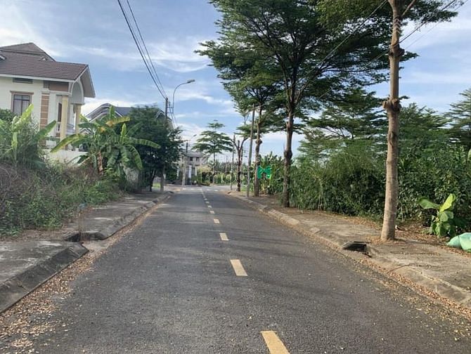 4311159 ảnh đại diện 2