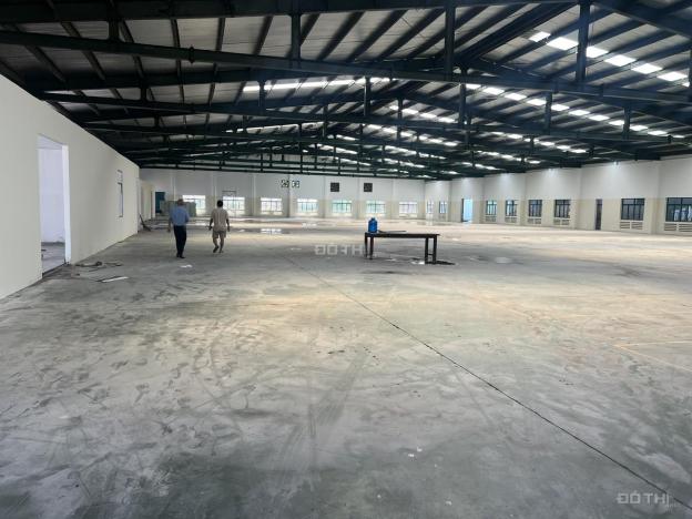 4312582 ảnh đại diện 2