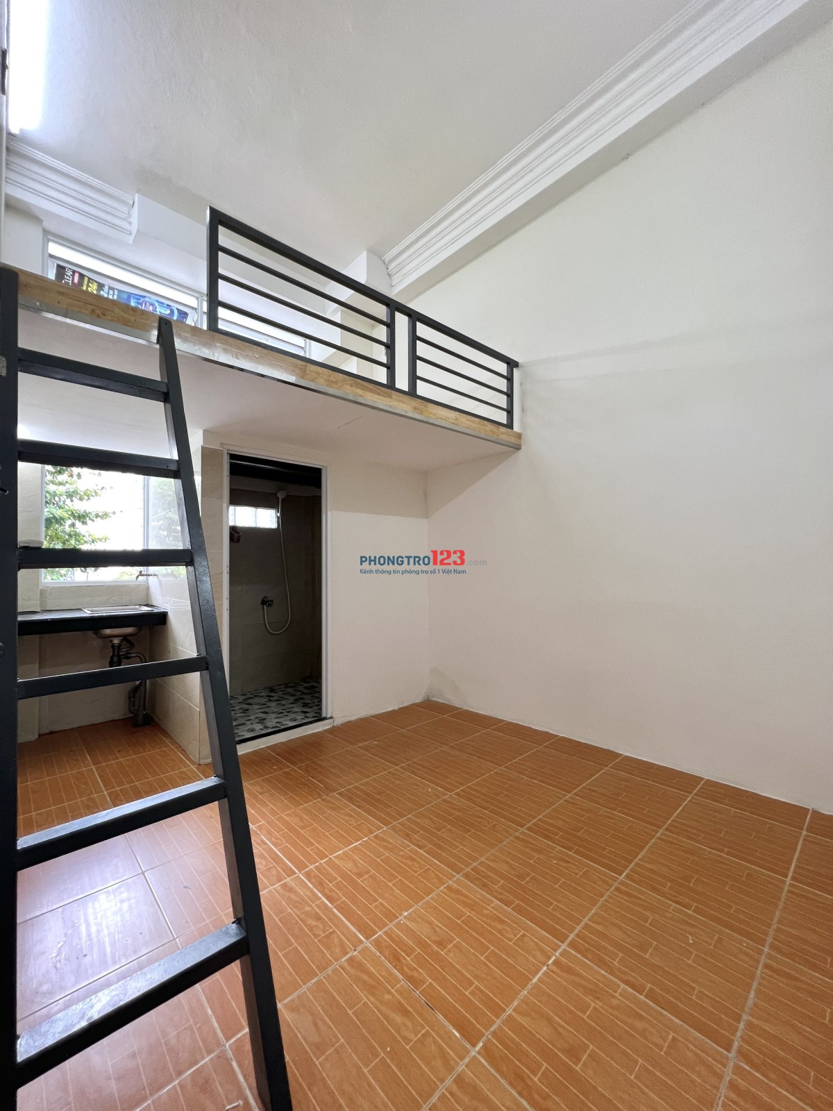 4312820 ảnh đại diện 1