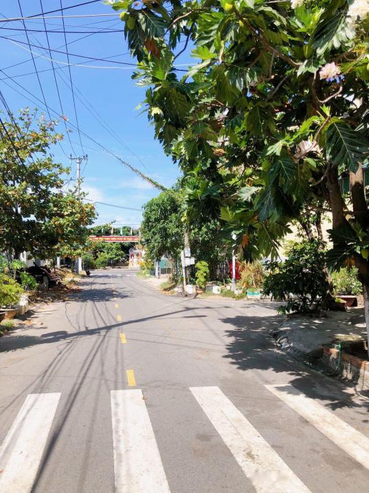 4311763 ảnh đại diện 1