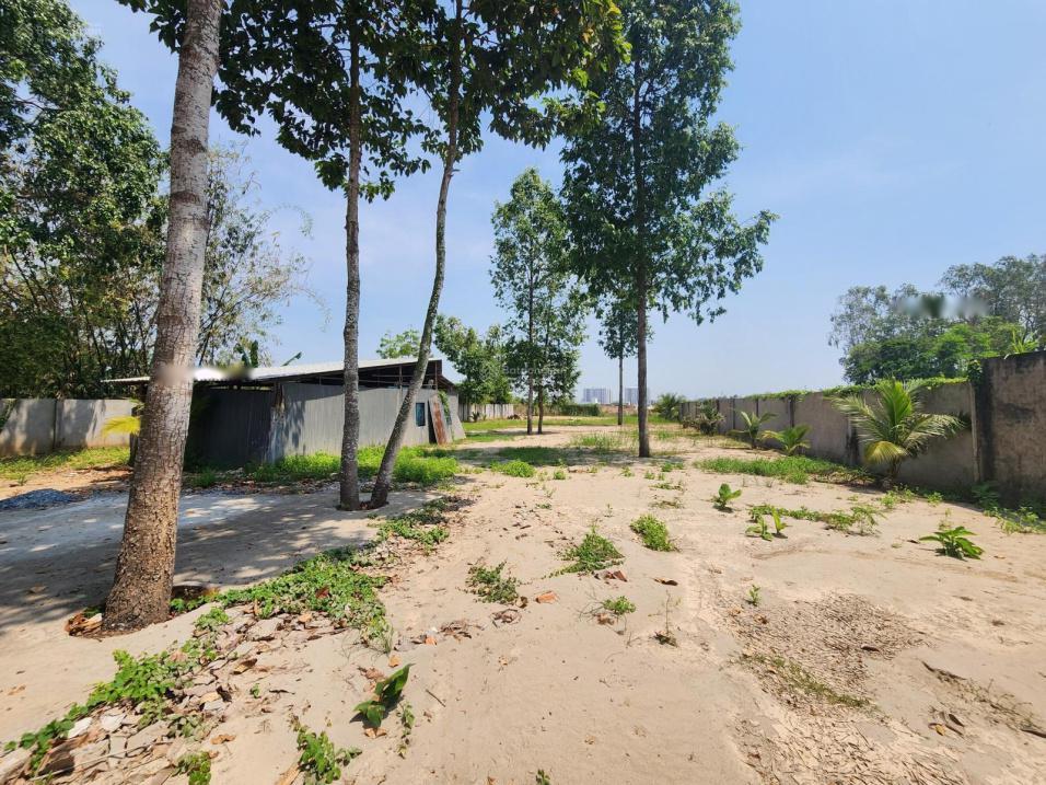 4311737 ảnh đại diện 2