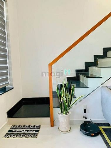 4311841 ảnh đại diện 1