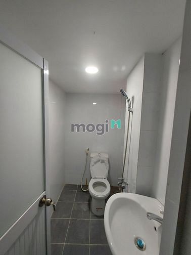 4312685 ảnh đại diện 1
