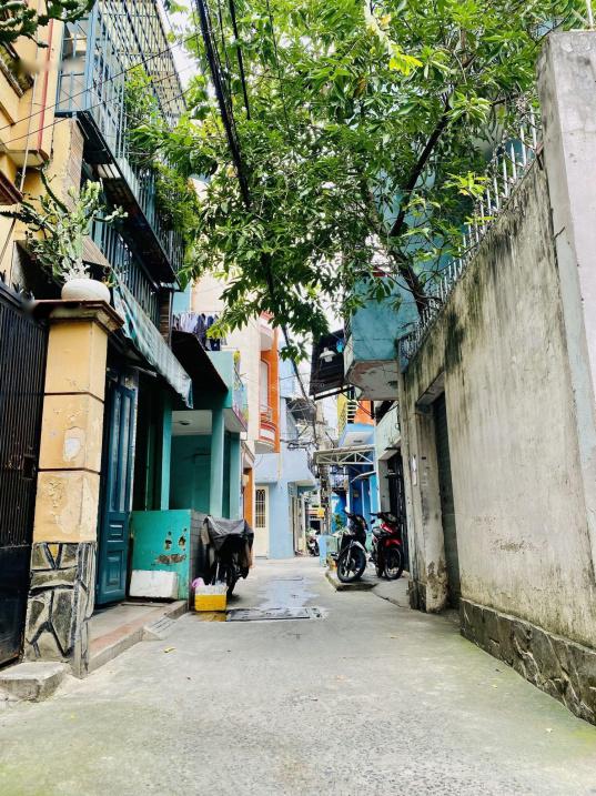4312708 ảnh đại diện 1