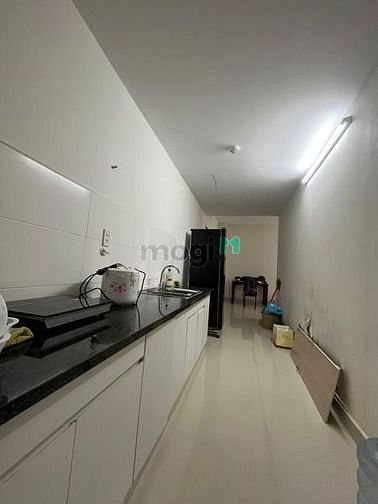 4312477 ảnh đại diện 1