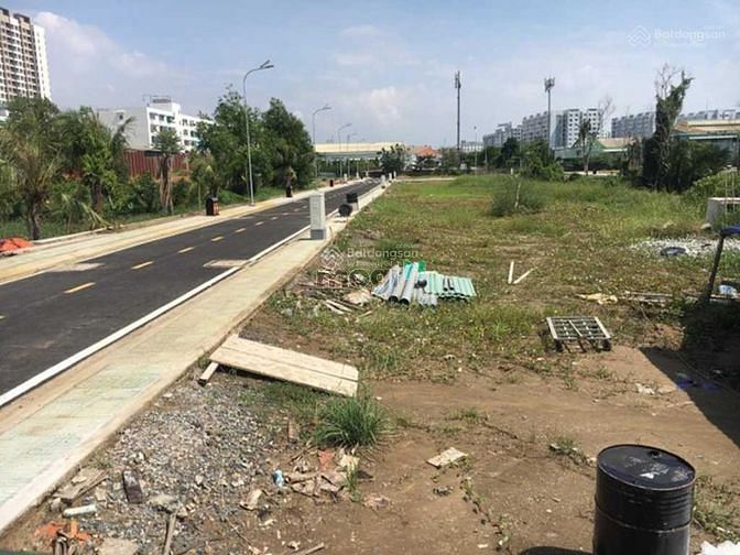 4312682 ảnh đại diện 2