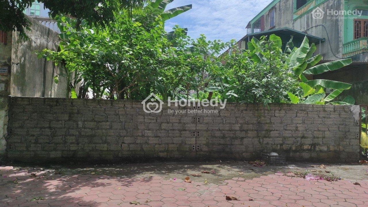 4312318 ảnh đại diện 1