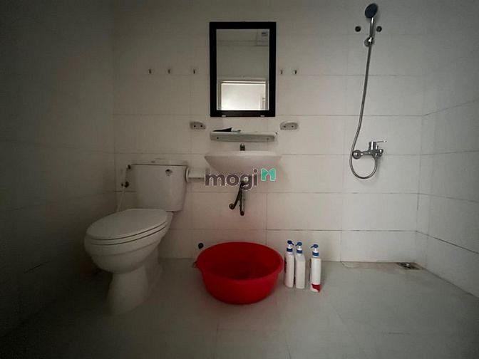 4312477 ảnh đại diện 1