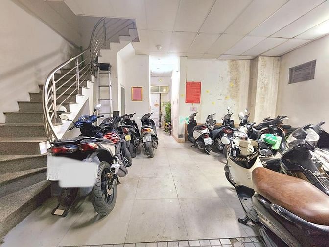 4312368 ảnh đại diện 1